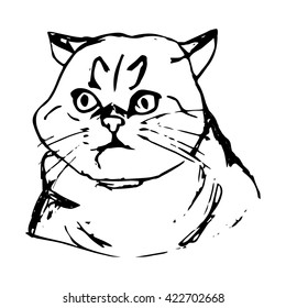 Graphic image of a cat