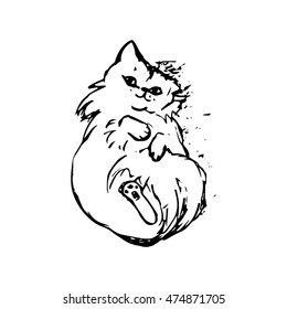 graphic image of a cat laying on back, on white background