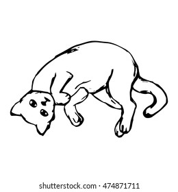 graphic image of a cat laying on back, on white background