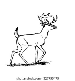 Graphic image of deer