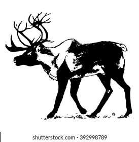 Graphic image of a deer on white background
