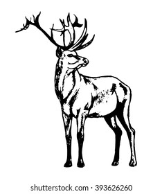 Graphic image of a deer on white background