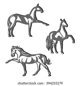 The graphic image of a dressage horse