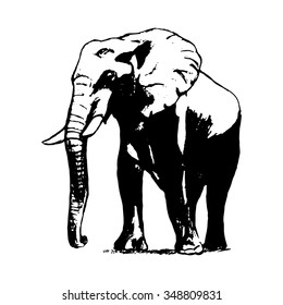 Graphic image of an elephant
