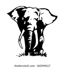 Graphic image of an elephant on a white background