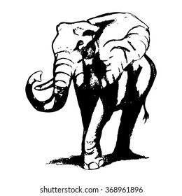 Graphic image of an elephant on a white background