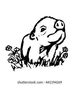 The graphic image of funny pig