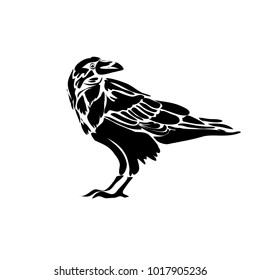 Graphic image of an isolated character of a wild crows bird. Black on white background. Vector illustration.