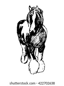Graphic image of a large horse