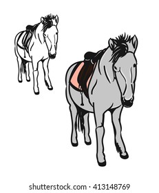 Graphic image of a little horse