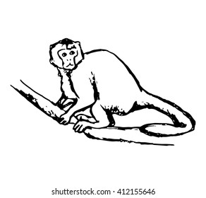 Graphic image of a little monkey 