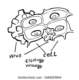 Graphic image of a living cell of an organism and coronavirus. Lettering. Graphic arts
