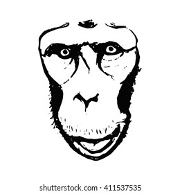 A graphic image of the monkey