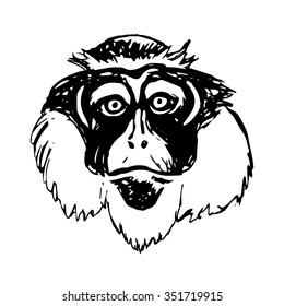 Graphic image of a monkey's head