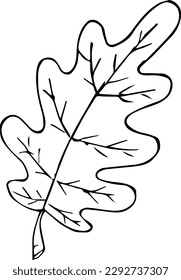 Graphic image of an oak leaf