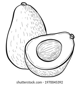 graphic image on a white background of whole avocado fruits, halves of avocado fruits, slices