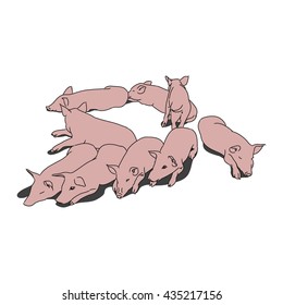 A graphic image of the piglets