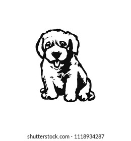 Graphic image of a puppy on a white background, vector illustration