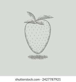 Graphic image of strawberries. Vector graphics. vintage