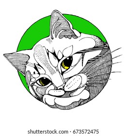Graphic image of a tired cat vector