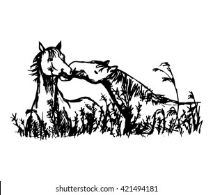 A graphic image of two horses 