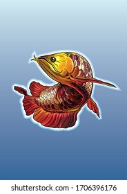 Graphic image vector, Dragon fish, illustration, Beautiful fish, Aquatic animals