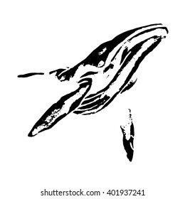 Graphic image of a whale