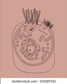 Graphic images of human cells. Elements of human cells