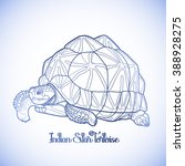 Graphic Indian star tortoise drawn in line art style in blue colors. Geochelone elegans. Rare turtle pet.  Coloring book page design