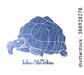 Graphic Indian star tortoise drawn in line art style isolated on white background. Geochelone elegans. Rare turtle pet in blue colors.  Coloring book page design