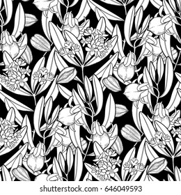 Graphic jojoba seamless pattern. Vector herbal design. Coloring page for adults