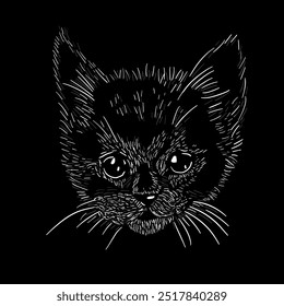 Graphic kitten head on black background. Graphic design on a t-shirt. hand drawing. Not AI, Vector illustration