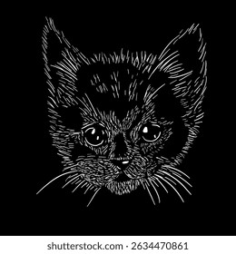 Graphic kitten head on black background. Graphic design on a t-shirt. hand drawing. Not AI, Vector illustration