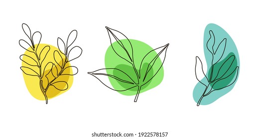 Graphic leaf of a plant set. Icon of organic, healthy, bio. Leaves on abstract spots. Hand drawn