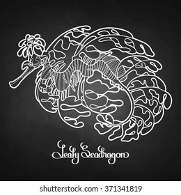Graphic Leafy Seadragon drawn in a line art style. Sea horse. Ocean creature isolated on chalkboard