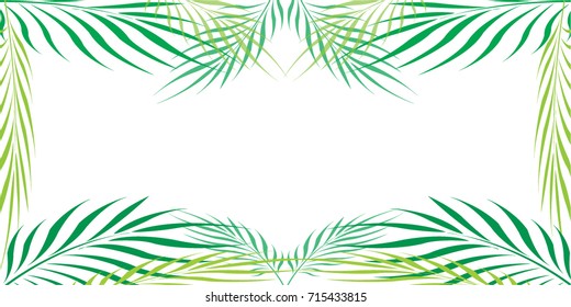 Graphic Leaves of coconut abstract pattern background Green - light green on white background with copy space for add text message, Vector illustration