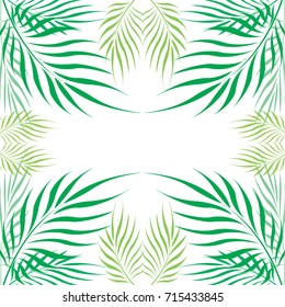 Graphic Leaves of coconut abstract pattern background Green - light green on white background, Vector illustration