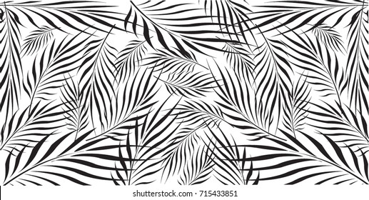 Graphic Leaves Of Coconut Abstract Pattern Background Black And White, Vector Illustration