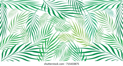 Graphic Leaves of coconut abstract pattern background Green - light green on white background, Vector illustration