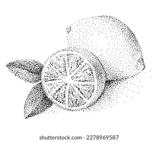 Graphic lemon on a white background. Pointillism. Black and white image