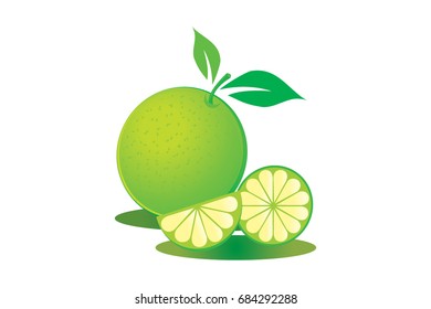 Graphic lemon , pattern, on white background with copy space for add text message. Vector illustration