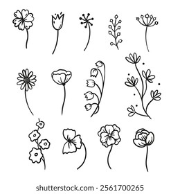 Graphic line art flowers. Outline abstract floral elements black and white elements