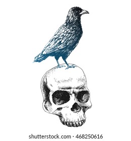 Graphic line drawing of Halloween Black Raven standing on a human skull, gothic, simple linear illustration