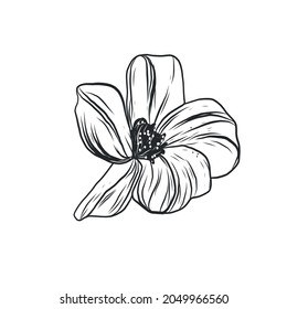 Graphic linear drawing of flower. Bud. Sketch of a tattoo.