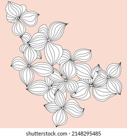 Graphic linear drawing flower buds on a pink background. Vector illustration