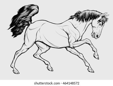 Graphic linear illustration of a running Trakehner. Vector horse on a light gray background. It can be used as tattoo or emblem for stud farm. 