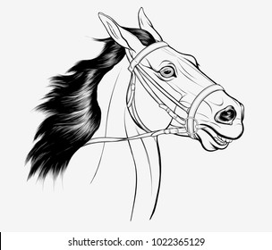 Graphic linear portrait of a horse in bridle with a snaffle bit and stretched reins. Clip art, design element for equestrian equipment goods. Vector head of stallion with ears laid back and long mane.