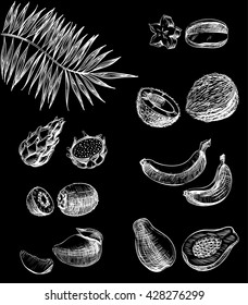Graphic lines, strokes set icons tropical fruits, for exotic meals, juices, desserts, drawn on chalkboard for design menu restaurants, cafes, bistros, food packaging, vector white on black, inversion