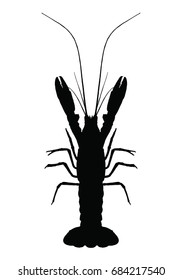 graphic lobster on white background