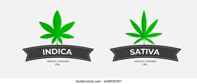 Grafische Logo-Vorlage mit Gras, organischem Thc und sbd. Vektorillustration-Embleme mit Cannabisblättern, mit dunklen Bändern auf weißem Hintergrund. Indica und sativa medical marihuana badges Design.